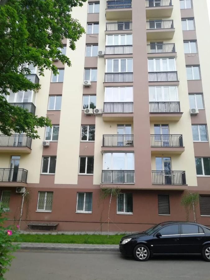 Lux apartment, near metro Vasylkivska Kiev Exteriör bild