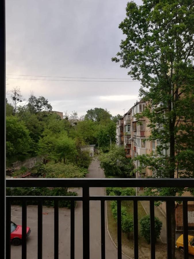 Lux apartment, near metro Vasylkivska Kiev Exteriör bild